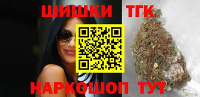 МДПВ Гатчина