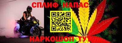 MDMA Premium VHQ Гай