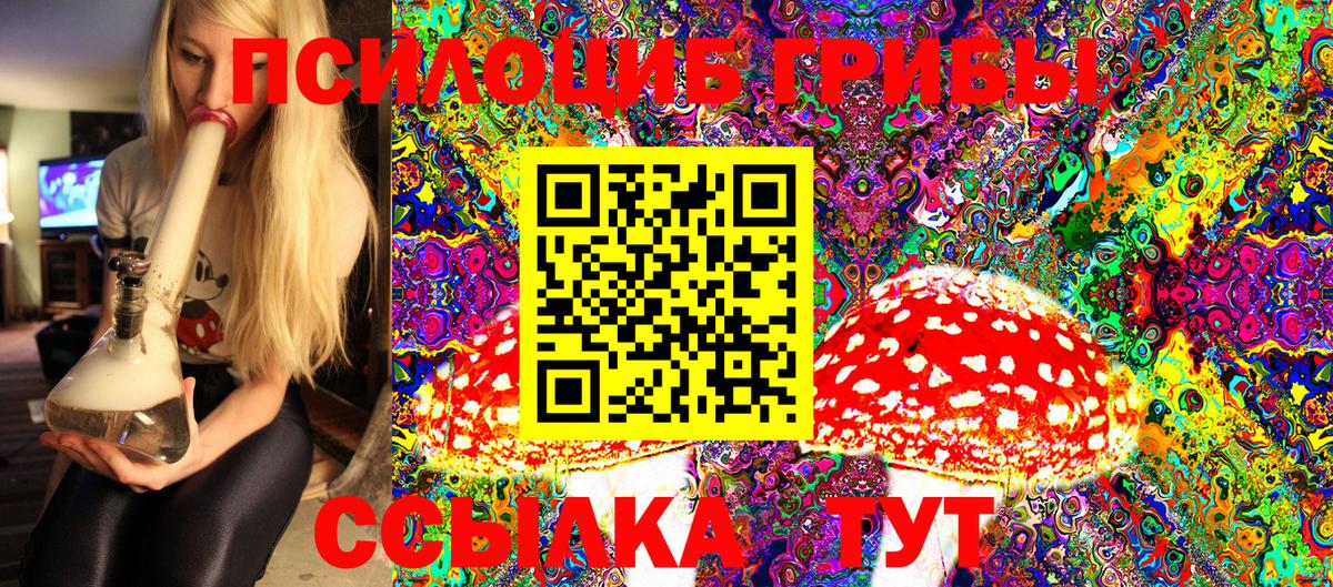 Галлюциногенные грибы Magic Shrooms Нижний Новгород
